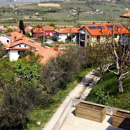 Beautiful View Flat Wiht Terrace Ing1